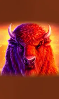 Buffalo 50