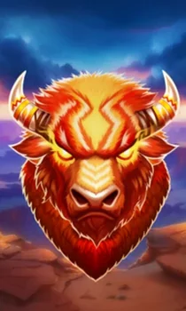 Bison Storm