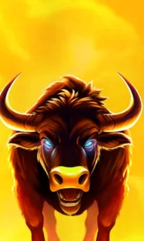 Big Wild Buffalo 2