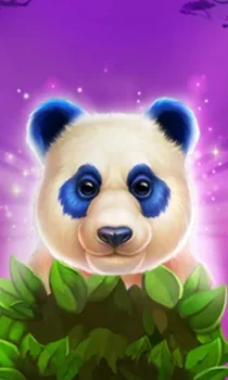 Luck of Panda: Bonus Combo