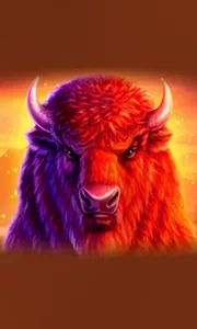Buffalo 50